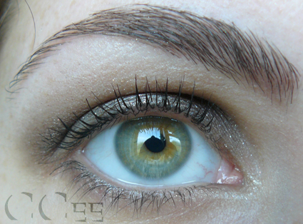 This look is a dark greyrown with a hint of gold smokey eye.